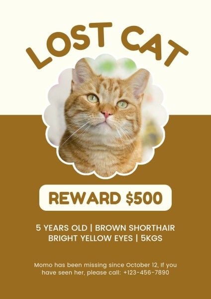 lost, pet, dog, Simple Missing Cat Photo Poster Template