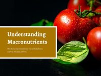 黑色食品健康饮食生活方式 PPT(4:3)