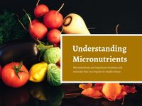 黑色食品健康饮食生活方式 PPT(4:3)