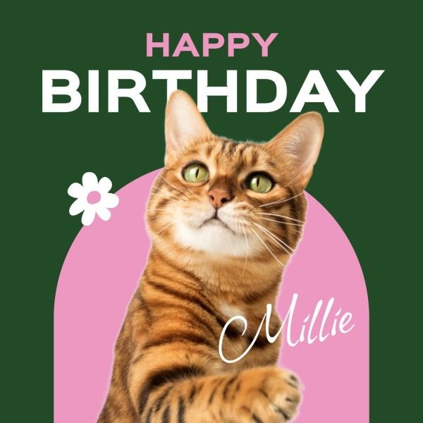 cat, greeting, celebration, Green And Pink Simple Pets Birthday Instagram Post Template