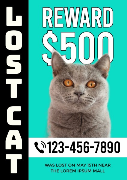 緑の黒い行方不明の猫の写真