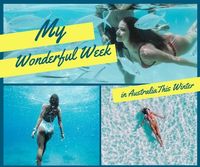 Travel Blog Wonderful Week Facebook Post