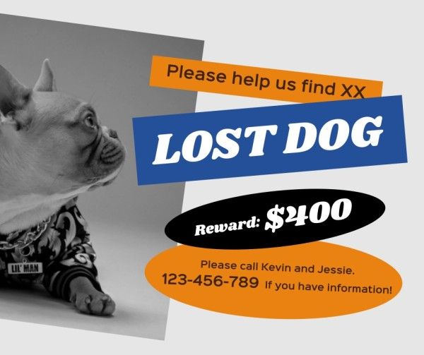 White Lost Dog Search Notice Facebook Post