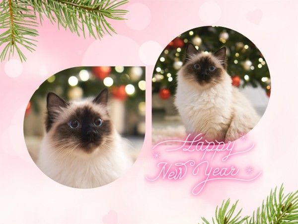 merry christmas, xmas, holiday, Pink Christmas Pet Collage Photo Collage 4:3 Template