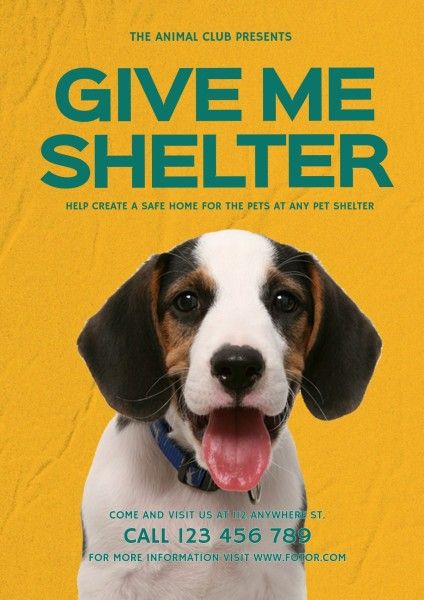 help animal, dog, pet, Yellow Animal Shelter Help Poster Template