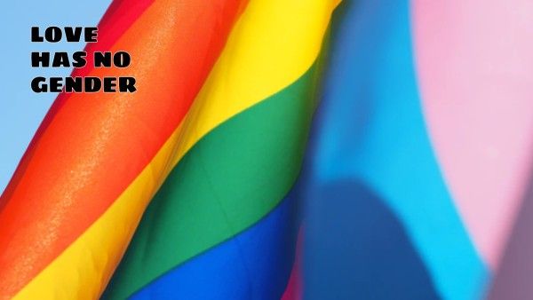 Rainbow Love Has No Gender LGBT Zoom Background