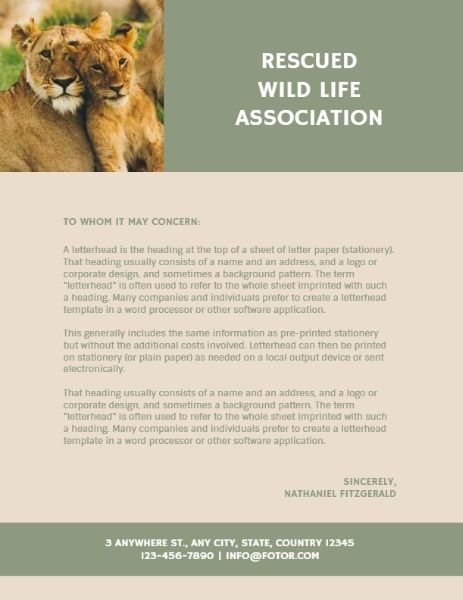charity, ngo, non-profit, Green Wildlife Animal Protection Letterhead Template