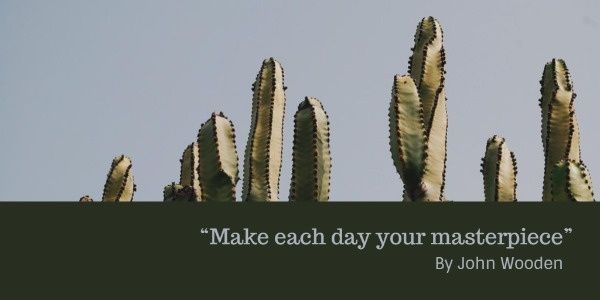 plant, inspiration, nature, Dark Cactus Wallpaper Twitter Post Template