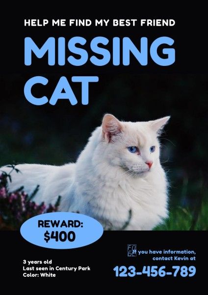 pet, reward, find, Black Missing Cat Poster Template