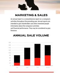 business, company, firm, Professional Photography Corporate Monthly Report Template