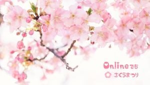 spring, cherry, drink, Pink Sakura Season View Zoom Background Template