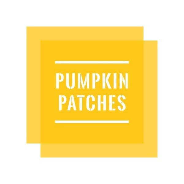 Yellow Pumpkin Patches ETSY Shop Icon
