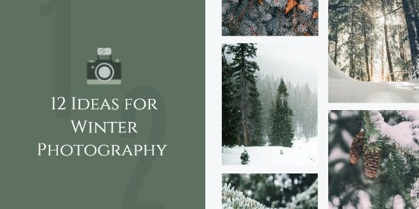 skill, life, season, Ideas For Winter Photography Twitter Post Template