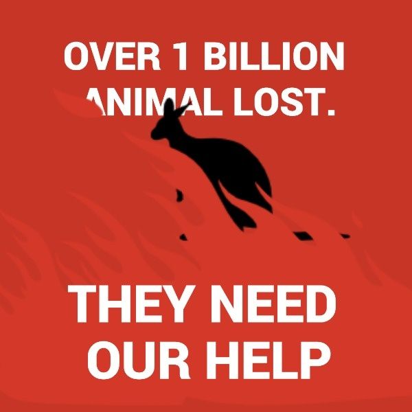 charity, organization, kangaroo, Australia Bushfire Instagram Post Template