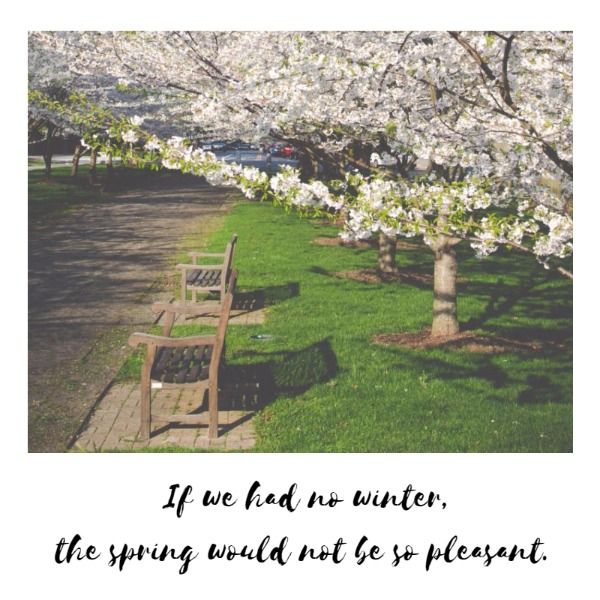 spring, social medium, instagram ad, Pleasant season Instagram Post Template