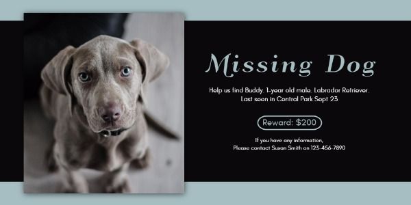 dog, lost, animal, Black Pet Missing Poster Twitter Post Template
