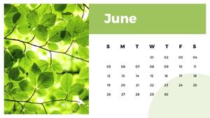 monthly, yearly, monthly calendar, Color Flower Plant 2022 Calendar Template