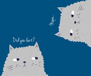 funny, kitty, pet, Fun Cat Meme Facebook Post Template