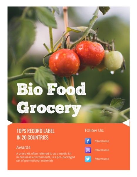 press kit,  business,  promotional materials, Red Food Grocery Media Kit Template