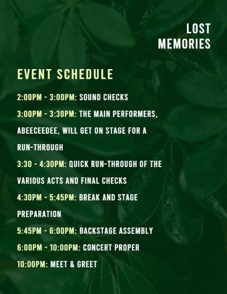 lost memory, song, singer, Summer Green Music Live Show Program Template