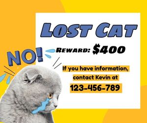 pet, lost notice, phone number, Yellow Lost Cat Facebook Post Template