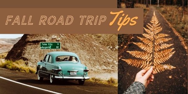 autumn, life, travel, Fall Road Trip Tips Twitter Post Template