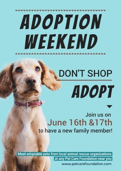 animals, family, weekend, Adoption Photo Poster Template