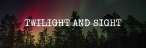 nature, forest, star sky, Twilight Travel Twitter Cover Template