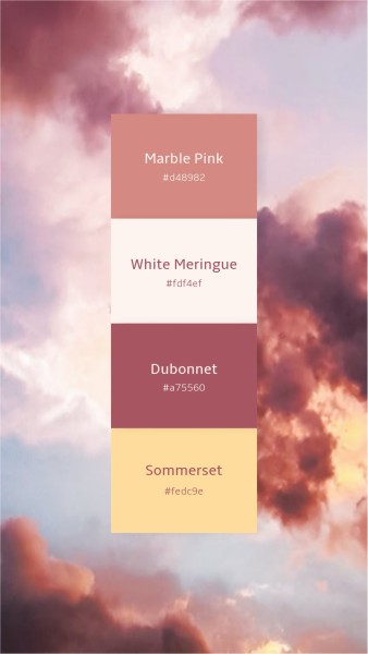 Pink Color Palatte For Branding Instagram Story