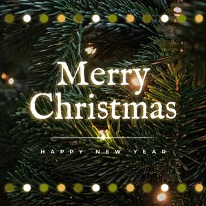 happy new year, holiday, plant, Merry Christmas Tree Instagram Post (Square) Template