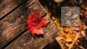 leaf, fall, season, Brown Autumn Calendar Desktop Wallpaper Template