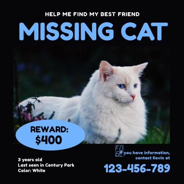 pet, reward, find, Black Missing Cat Instagram Post Template
