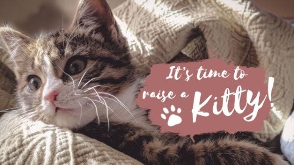 kitty, pet, raise a kitty, Cat Video  Youtube Thumbnail Template