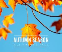 fall, leaves, sky, Blue And Yellow Autumn Season Facebook Post Template