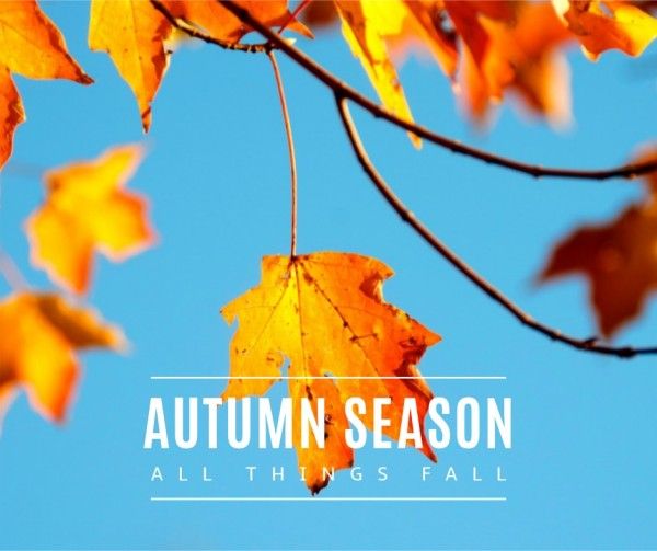 青と黄色の秋の季節 Facebook投稿