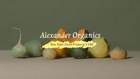 Green Healthy And Sweet Fruits Youtube Channel Art
