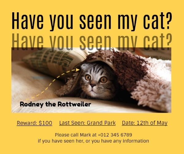 pet, animal, missing cat, Have You Seen My Cat Facebook Post Template