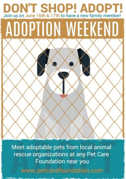 weekend, don't shop, pet care, Cute Pet Adoption Poster Template