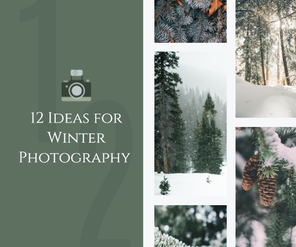 Ideas For Winter Photography Facebook Post