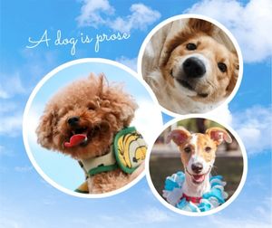 pets, cute, animals, Blue Sky Background Dogs Photo Collage Facebook Post Template