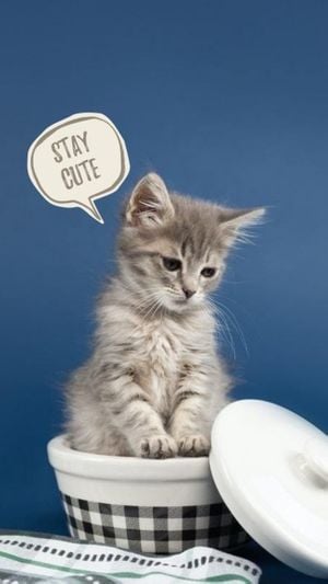 カスタマイズ可能なかわいい灰色の猫スマホ壁紙のテンプレート Fotorデザインツール