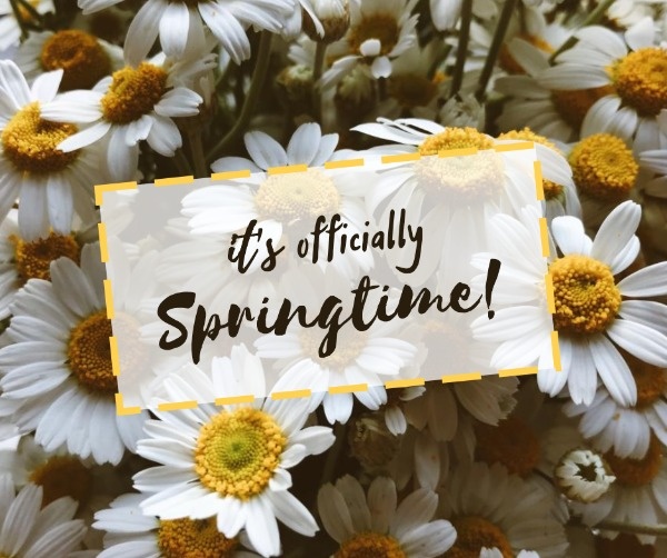 Spring Time Sunflower Post Facebook Post