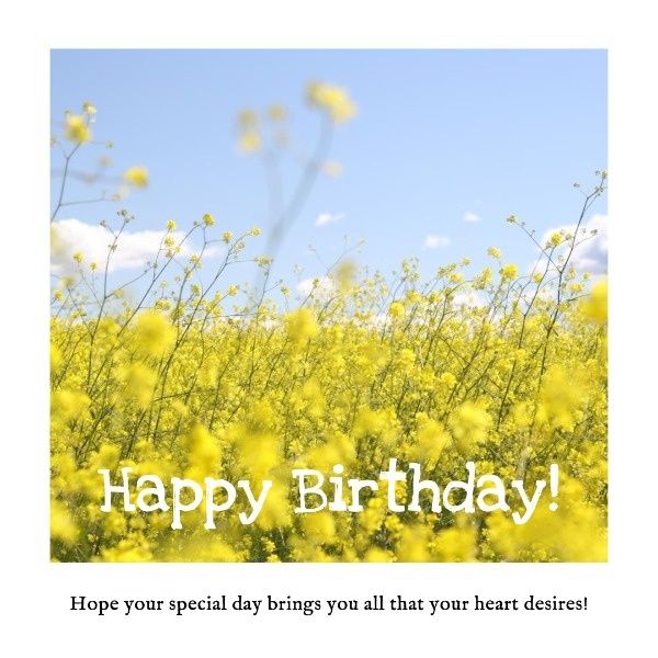 happy birthday, spring, life, Yellow Flower Birthday Wishes Instagram Post Template