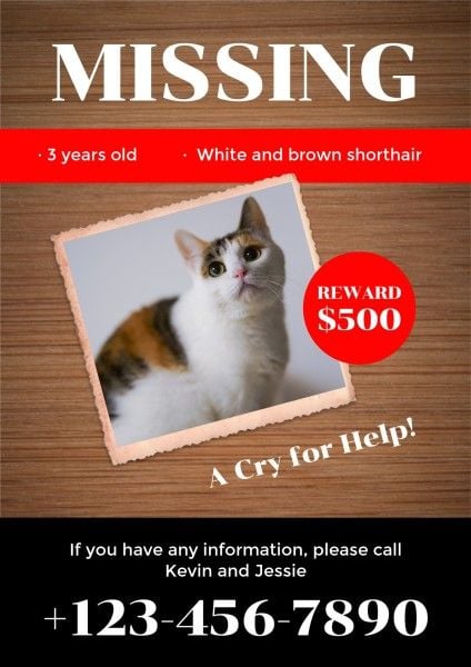 lost, pet, dog, Wooden Background Retro Missing Cat Ad Poster Template