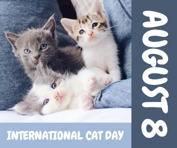 pet,  animal, life, Cute Cat International Cat Day Facebook Post Template