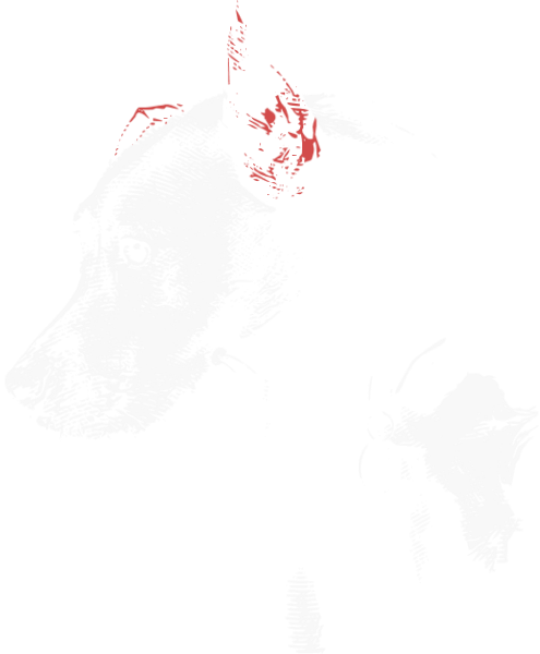 https://pub-static.fotor.com/assets/res/sticker/00d0f9ba-1a98-4cff-9892-c1e321037329_thumb.png