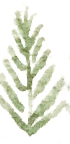https://pub-static.fotor.com/assets/res/sticker/0172cf65-f715-4c94-81d4-799914d23b2c_thumb.png