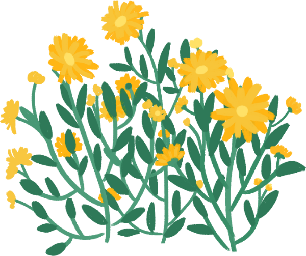 https://pub-static.fotor.com/assets/res/sticker/01ca4e44-ef68-4812-a91f-7c50a70d9182_thumb.png