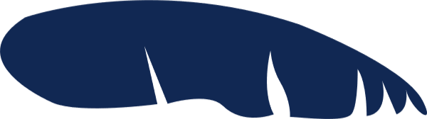 https://pub-static.fotor.com/assets/res/sticker/067fe0b2-e77e-4334-b3d7-2beedf5dbdfe_thumb.png