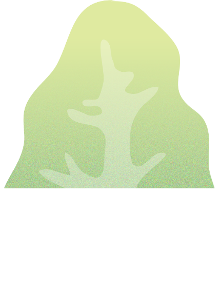 https://pub-static.fotor.com/assets/res/sticker/09975985-0c6b-42dd-9748-51b50b4e02b0_thumb.png